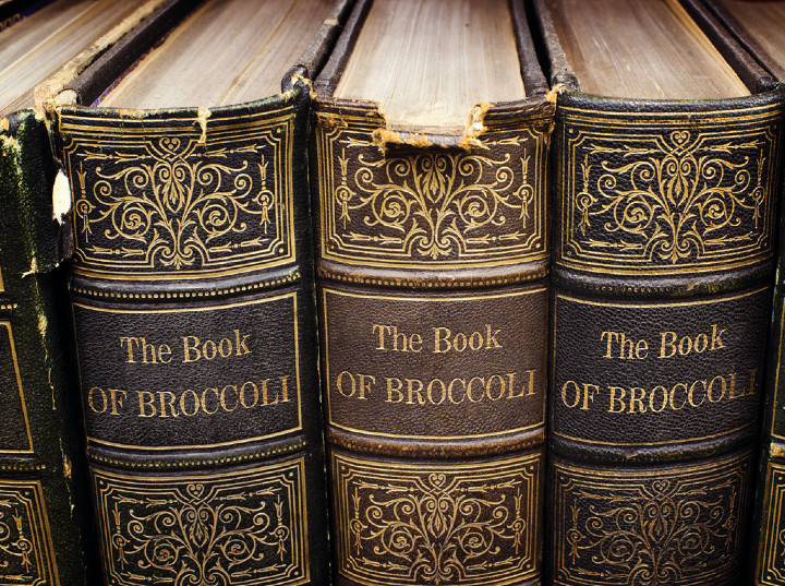 The Book Of Broccoli